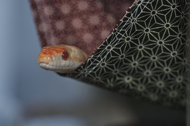 �n�����b�N